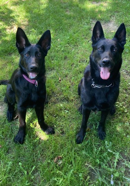 Josie und Isis