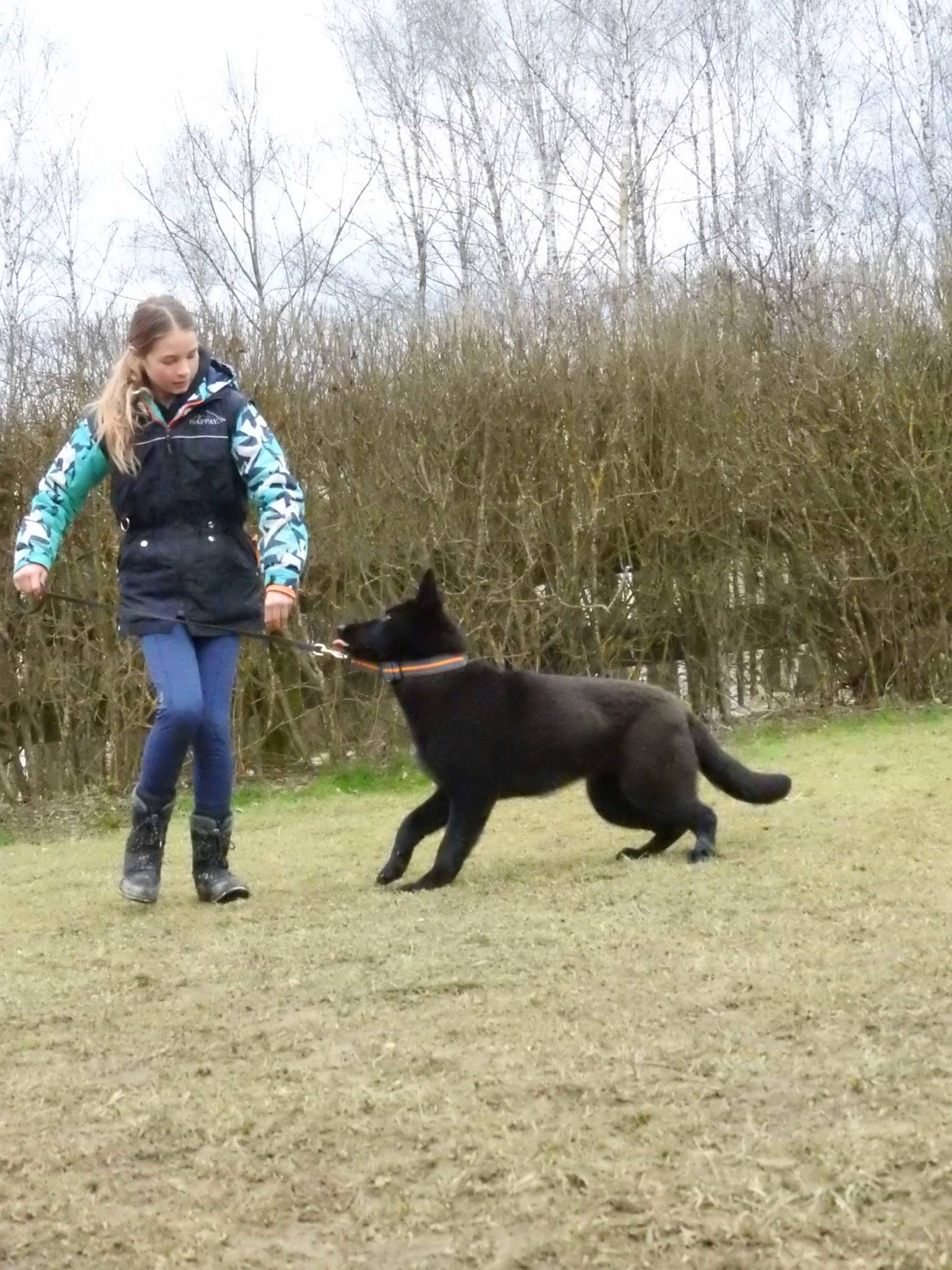 Training