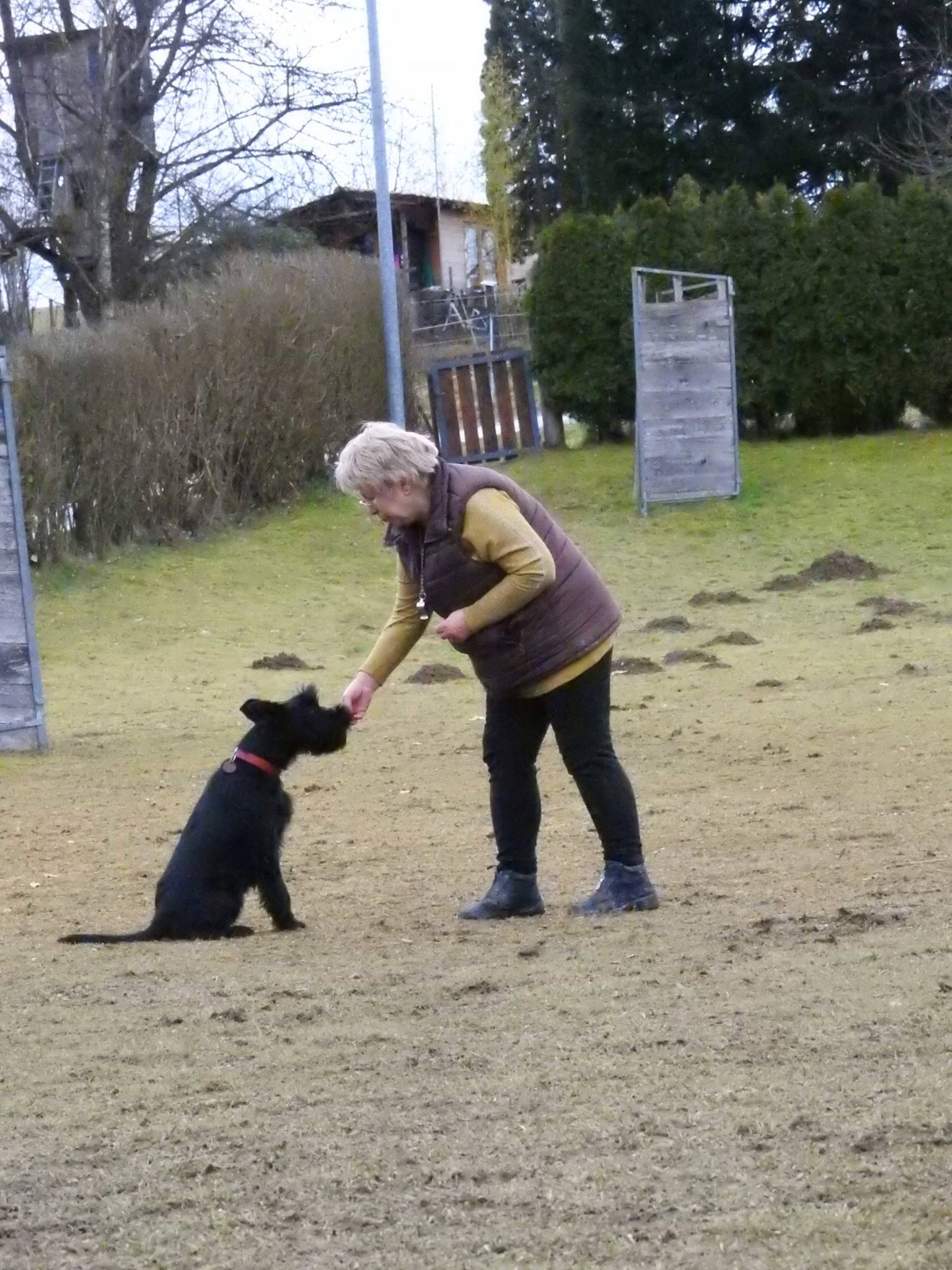 Training