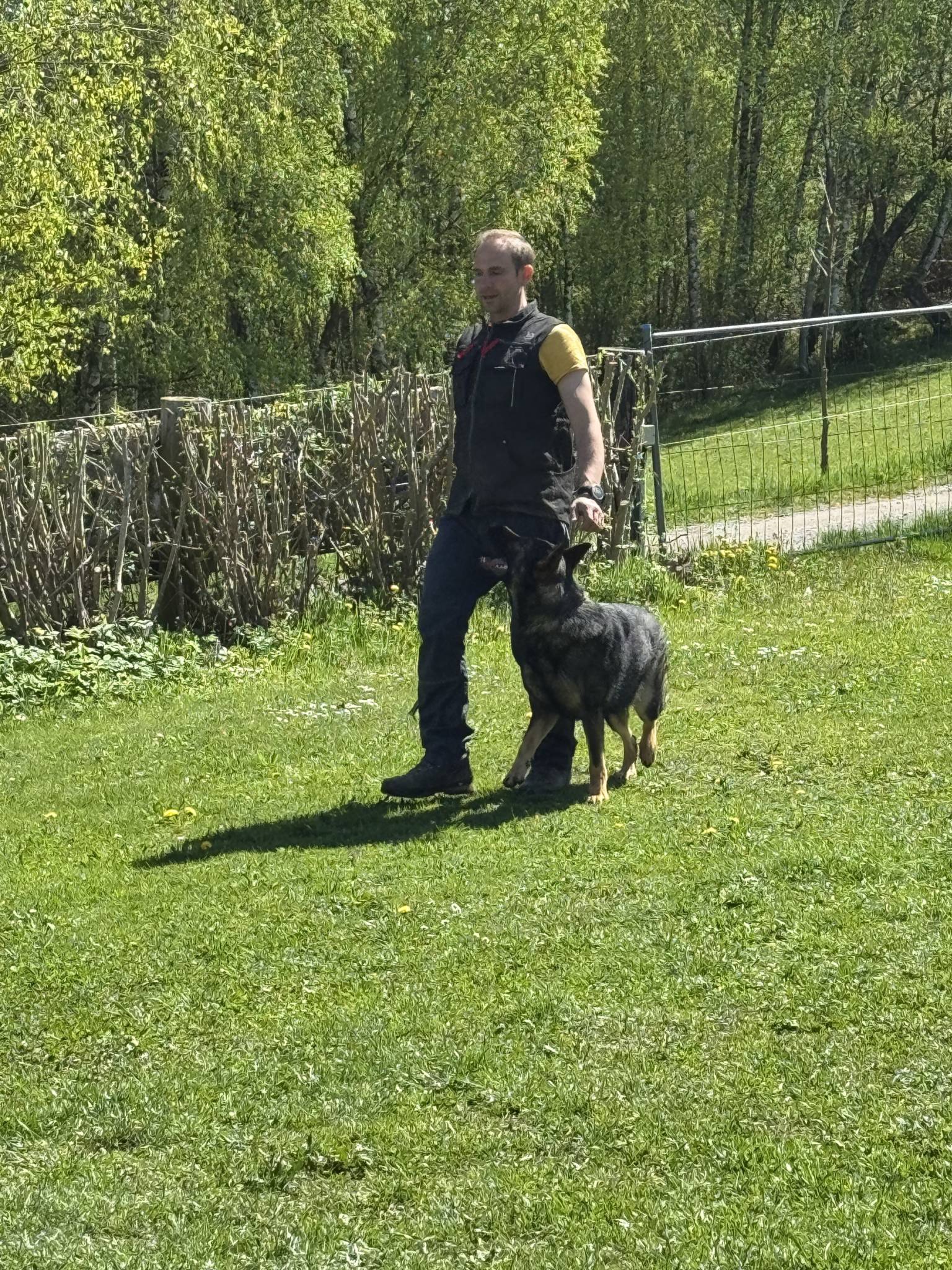 Training