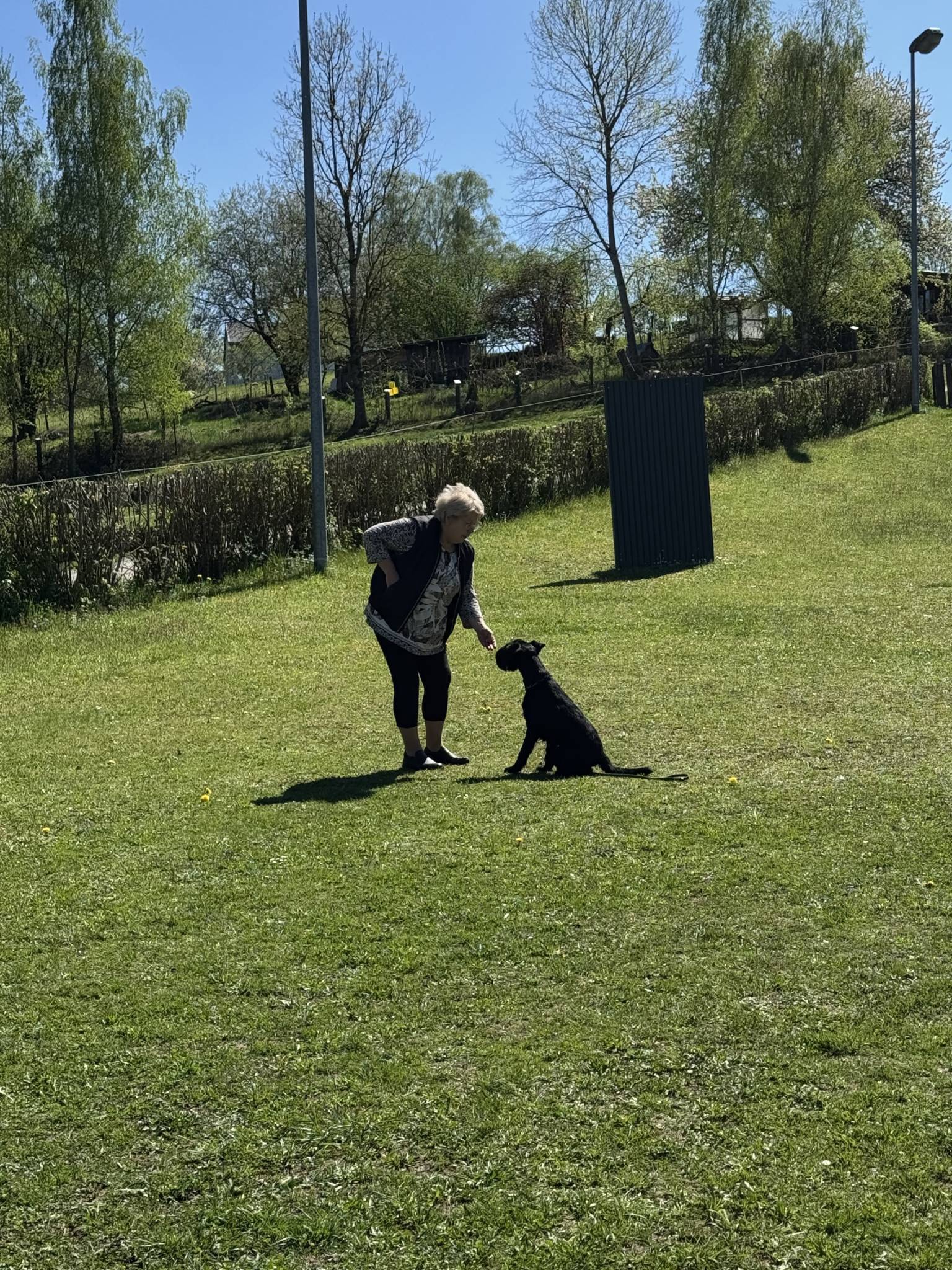 Training