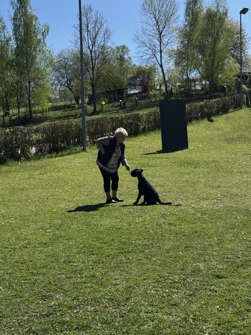 Training