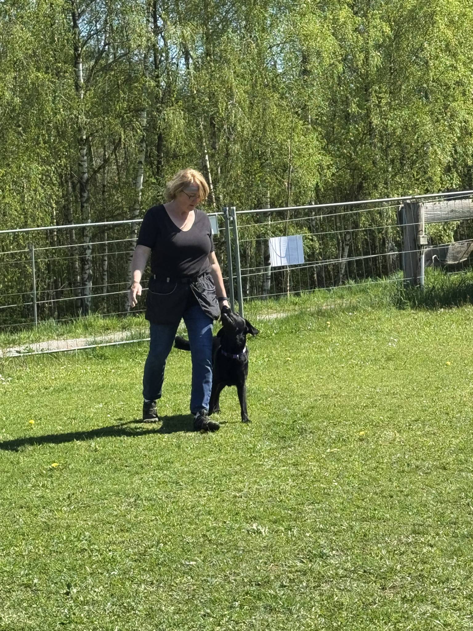 Training