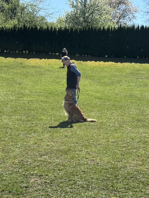 Training